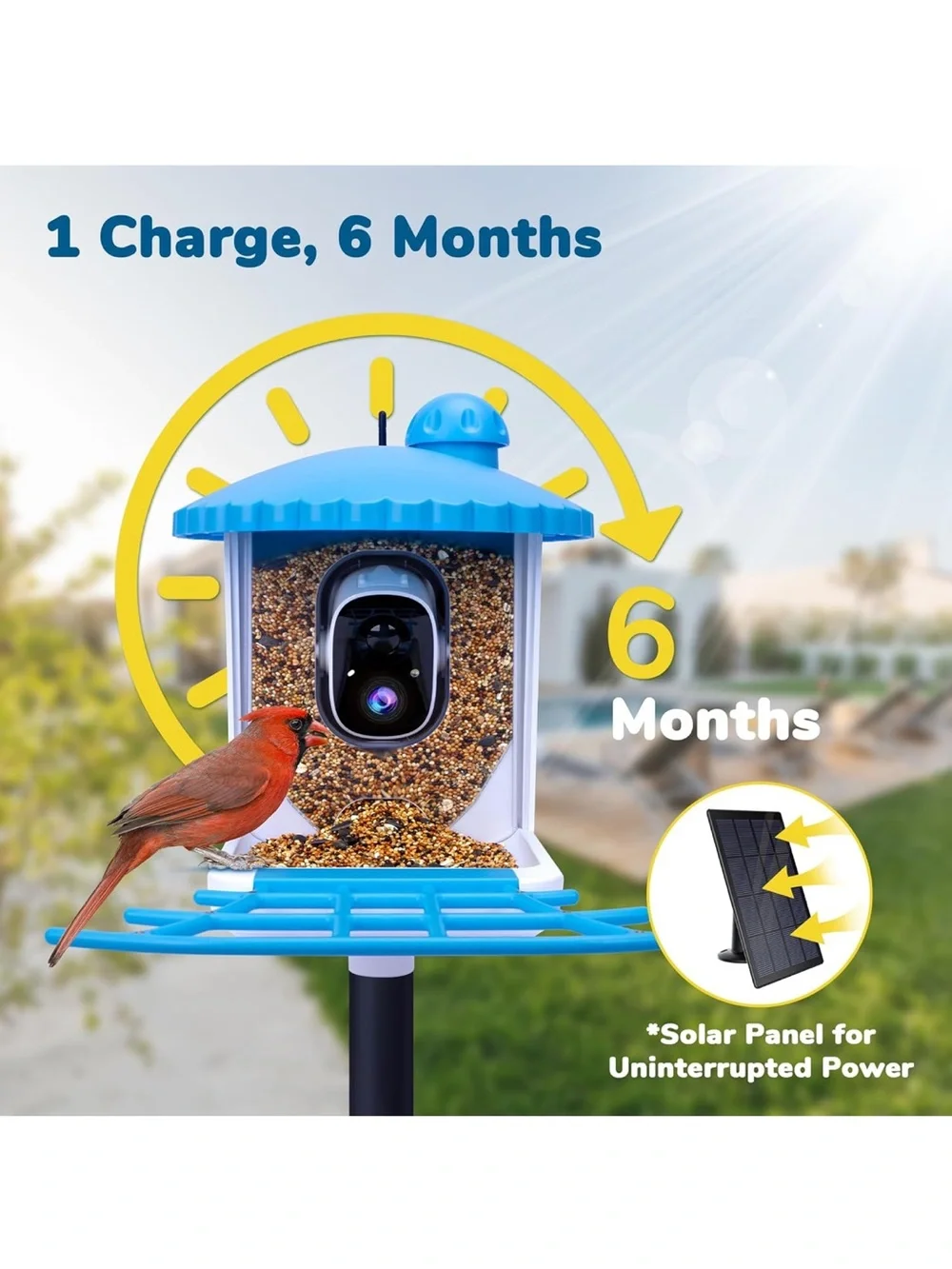 Brand new Bird Feeder Camera 2k Hd video